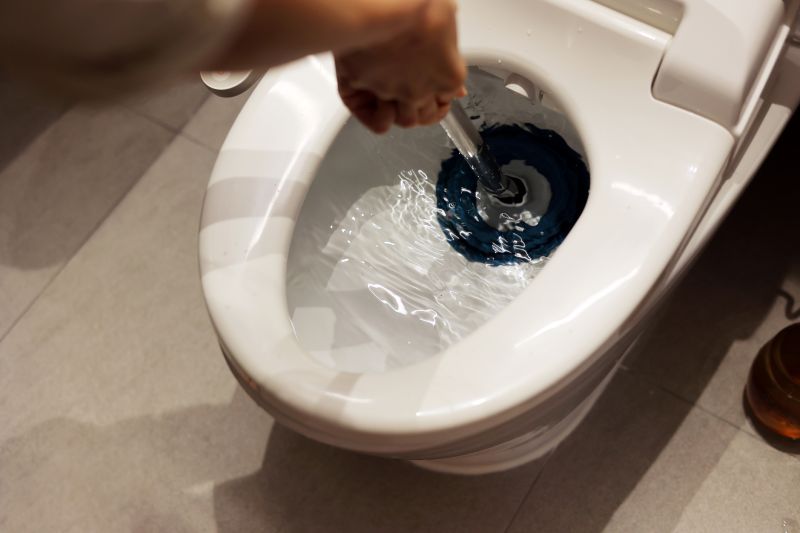 Toilet Clog Removal
