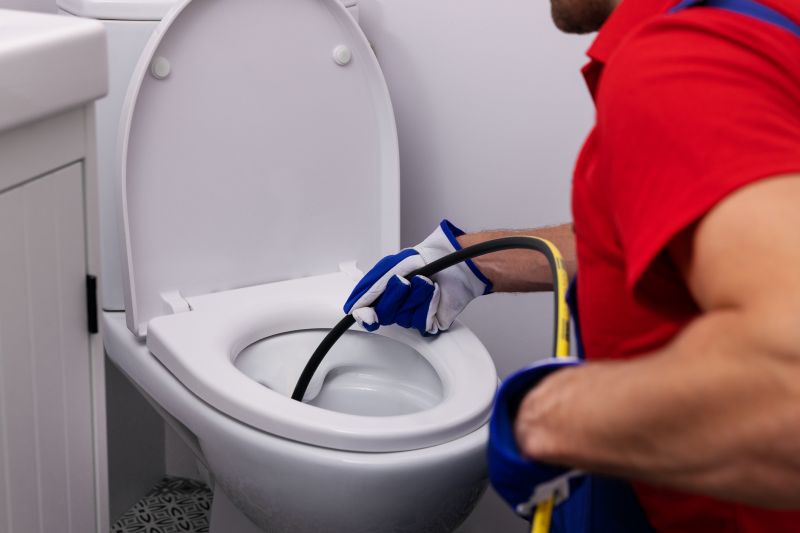 Toilet Clog Removal