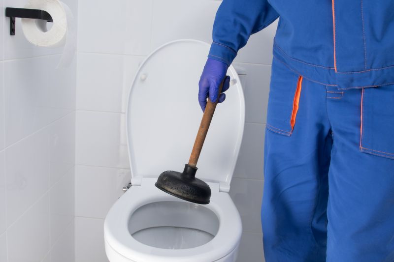 Products For Toilet Clog Removals in use