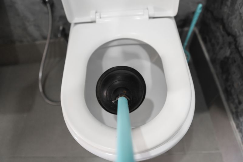 Toilet Clog Removal